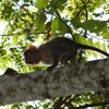 DSC00912.JPG