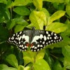 DSC02405.JPG