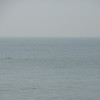 DSC03892.JPG
