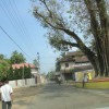 DSC00554.JPG