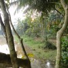 DSC02582.JPG