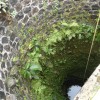 DSC02606.JPG