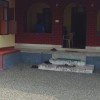 DSC02616.JPG