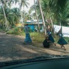 IMAG0116.jpg