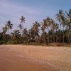 IMAG0128.jpg