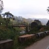 S4300616.JPG