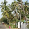 DSC03880.JPG