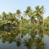 DSC04305.JPG