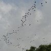 DSC04542.JPG