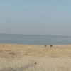 DSC06413.JPG