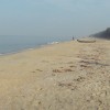 DSC06416.JPG