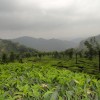 DSC06650.JPG