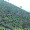 DSC06687.JPG