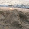 IMG_3516.JPG