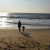 DSC_0266.JPG
