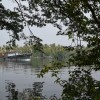 DSC_0805.JPG