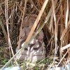 DSC08145.JPG