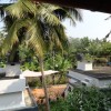 DSC04665.JPG