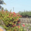 DSC04706.JPG