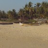 DSC01030.JPG
