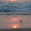 DSC01173.JPG