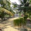 DSC01662.JPG