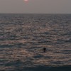 DSC03509.JPG