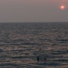 DSC03510.JPG