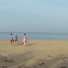 DSC03546.JPG