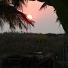 DSC04720.JPG