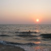 IMG_1879.JPG